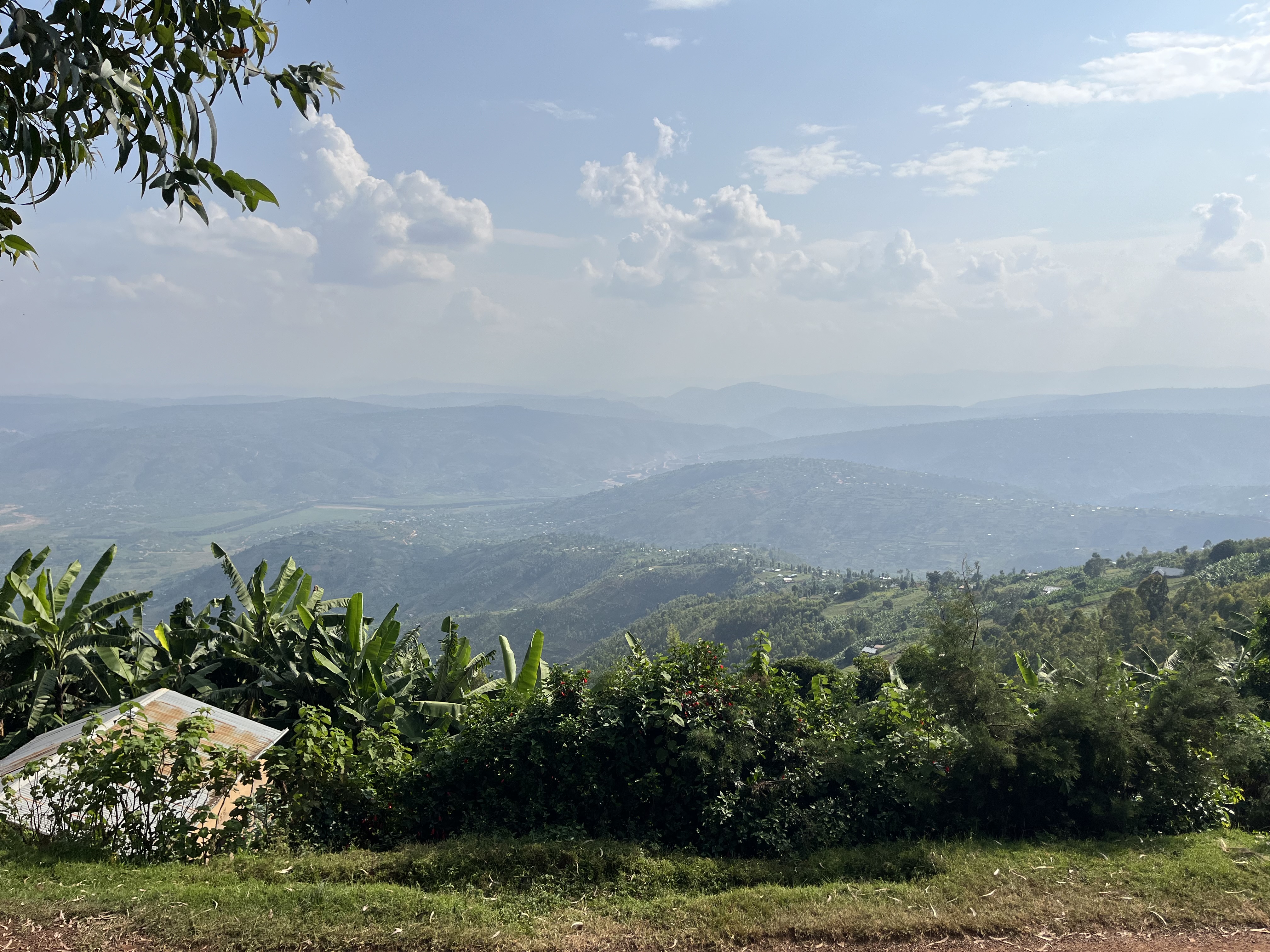 Ruanda Bild 3